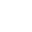 wp fix phone icon