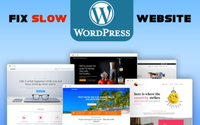 Reasons for a WordPress Website Slow and How to Fix It